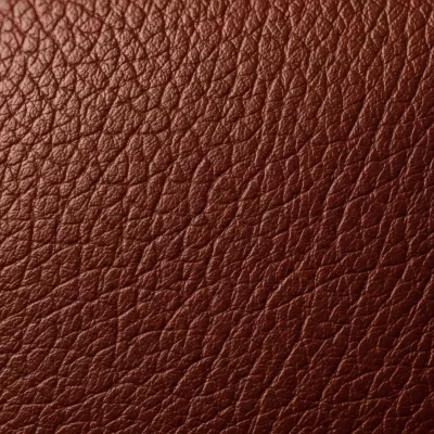 Imagen PNG para descargar